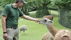 Visuel de Zoo nursery Berlin