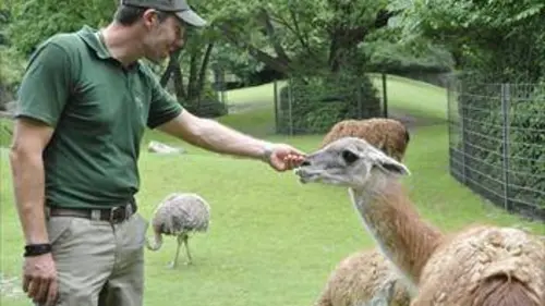 Zoo nursery Berlin S03E03