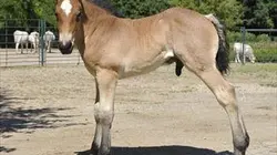Visuel de Zoo nursery Berlin