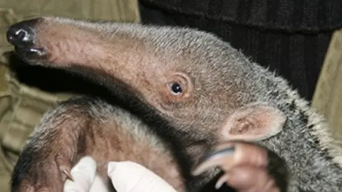 Casting Zoo nursery Berlin S01E03