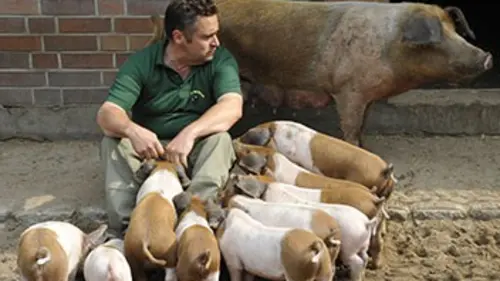 Zoo nursery Berlin S01E08