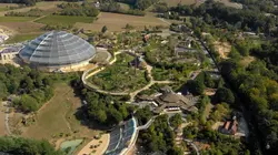 ZooParc de Beauval : au coeur de la machine