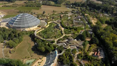 ZooParc de Beauval : au coeur de la machine