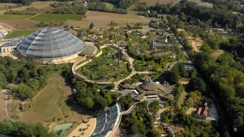 ZooParc de Beauval : au coeur de la machine
