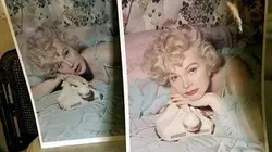 Visuel de Zsa Zsa Gabor, star glamour de Hollywood