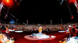 Zucchero : Une vedette italienne