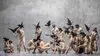 Winterreise : Christian Spuck et le Ballet de Zurich