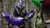 Power Rangers : Dino Fury S01E11 Le manoir hanté