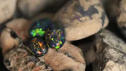 Chercheurs d'opale S05E08 Déplacer le monstre