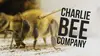 Charlie Bee Company S01E08 Beeweaver