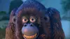Les as de la jungle à la rescousse S02E17 La planète du singe
