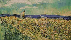 Sur Ciné+ Club à 22h35 : La passion Van Gogh