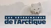 Vétérinaires de l'Arctique S02E01