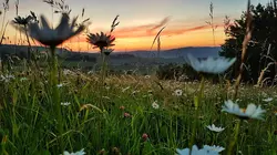 Sur Ushuaïa TV à 22h00 : La prairie, un paradis à préserver