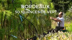 Bordeaux, 50 nuances de vert