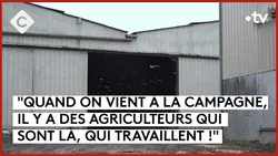 en direct