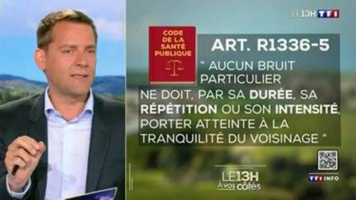 Replay Journal de TF1 du 05/06/2023 Trouble anormal de voisinage