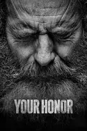 Affiche Your Honor S02E04